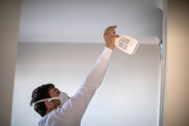 Office Mold Removal Services in Oakdale, NY