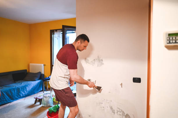 Best Mold Damage Repair  in Oakdale, NY